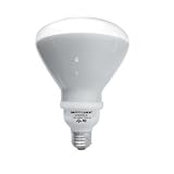 EarthTronics R423501B 23-Watt 5000K R40 CFL Floodlight, Natural White