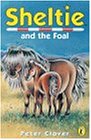 Sheltie and the foal