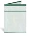 Greenbacks 11 x 17 Newsletter - 100 Sheets