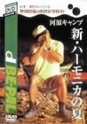 ��c�m�C�̐�V�ъw�Z(3) �͌��L�����v �V�E�n�[���j�J�̉� [DVD]