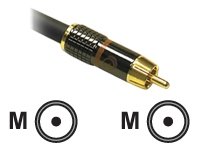 1.5' Sonicwave Digital Audio