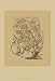 Orchid on Khaki(WG) VI, Art Poster by Samuel Curtis
