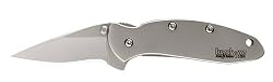 Kershaw Ken Onion Chive Pocket Knife with Speed Safe
