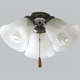 Progress P2600-20 Functional Bronze Light Kit