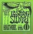 Ernie Ball 2230 12 String Electric String Set, Medium (8 -40)