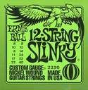 ERNiE BALL 2230
