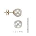 14k Gold, 7.5-8mm Akoya Cultured Pearl Stud Earring