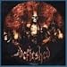 Defleshed, Fast Forward, 発売中