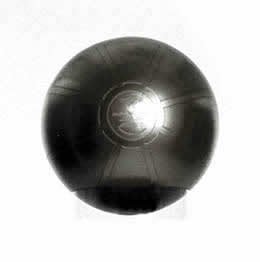 DuraBall PRO Exercise Ball - 65 cm - 25