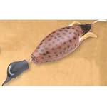 Dokken Dead Fowl Trainer Hunting Dog Dummy (Teal)