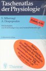 Paket Naturwissenschaftliche Grundlagen der Medizin, 2 Bde. - Stefan Silbernagl, Agamemnon Despopoulos, Jan Koolman, Klaus-Heinrich R&ouml;hm