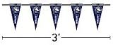 Tampa Bay Lightning Pennant String (3 foot)