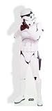 Stormtrooper - Star Wars - Cardboard Cutout - Lifesize Standee [Toy]