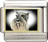Clearly Charming Schnauzer Italian Charm