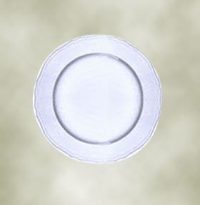 R. Ginori Antico Doccia White Gravy Boat