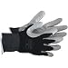 GLOVE