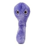 Giantmicrobes C. Diff Clostridium Difficile