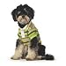 Dickens' Closet Good Times Striped Sweater with Lime Trim, XX-Small
