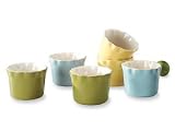 Review Metro 5150 / Mayfair & Jackson 5150 Pretty Petals 6 Piece Stoneware Ramekin Set