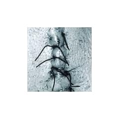 Infliction