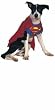 Superdog Costume - Officially Licensed Superman Trademark