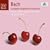 Bach: The Complete Harpsichord Concertos (BWV 1052-1058, 1060-1065) /Pinnock