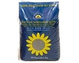 Black Oil Sunflower 40
