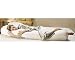 The Original Sleeping Bean Body Pillow