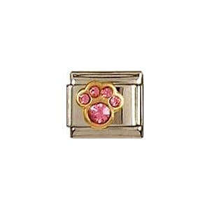 Buy Clearly Charming October Pink Tourmaline Color Paw Print Birthstone Cat Dog Bear Animal Theme... by Clearly Charming