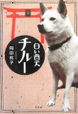 白い番犬チルー