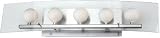 Alysa Polished Steel Modern Vanity Light with Glass Shield