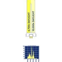 Dual Daylight Power Compact Lamp - Square Pin - 6700K and 10,000K - 65W by CURRENT USA INC