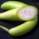 Alok Bottle gourd seed packet