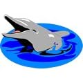 Dolphin Clip Art & Stock Photo Image CD