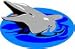 Dolphin Clip Art & Stock Photo Image CD