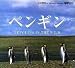 ペンギン PENGUINS IN THE WILD