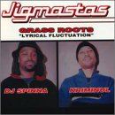 Lyrical Fluctuation [Vinyl]