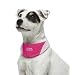 Kitchen & Housewares : Kyjen Coolit Pink Dog Bandana - Relief from the Heat - LARGE