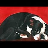 BOSTON TERRIER PAINTING DOG ART GICLEE