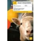 Teach Yourself Dream Interpretation