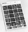 CRATEX RUBBERIZED ASSORTMENT 796 PIECES