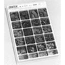 Click here to buy CRATEX ASSORTMENT 796 PIECES by Cratex.
