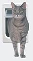 TK Tubby Kat with 4 way lock, Lexan Flap