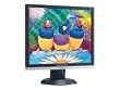ViewSonic VA916 - Flat panel display - TFT - 19" - 1280 x 1024 - 300 cd/m2 - 1000:1 - 2000:1 (dynamic) - 5 ms - VGA - black, silver