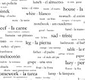 250 Spanish Vocabulary Words Shower Curtain