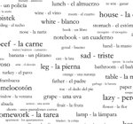 250 Spanish Vocabulary Words Shower Curtain