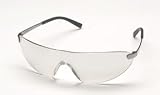 AOSafety Afina Eyewear; Clear Lens