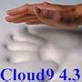 Zippered Cover and Two Contour Pillows included with 4.3 Cloud9 Full / Double 1.5 Inch 100% Visco Elastic Memory Foam Mattress Topper