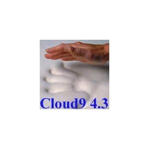 Buy 4.3 Cloud9 Twin 1.25 Inch 100% Visco Elastic Memory Foam Mattress Topper by Cloud9 Bedding Memory Foam now!