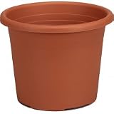 Eigenschaften Baleido  / Blumentopf Cilindro 50 cm terra